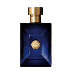 Versace Pour Homme Dylan Blue